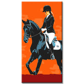 Painting by Numbers Art Rider Sits on A Black Horse